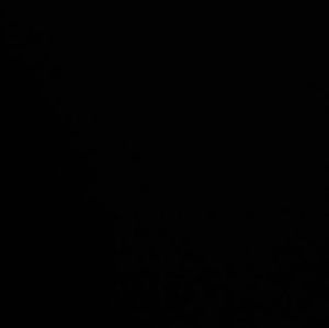 Meet your Posher, Jake